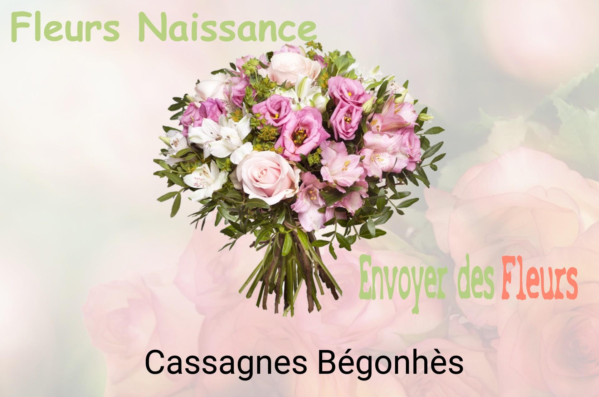 Bouquet de fleurs de naissance livré à Cassagnes-Bégonhès